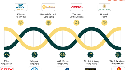 GELEX בולטת בדירוג ALPHA30 של 30 קבוצות ההשקעות האסטרטגיות המובילות בווייטנאם בשנת 2025