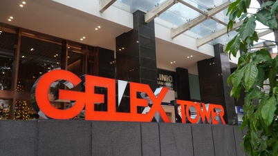 ការទម្លាយប្រាក់ចំណេញ GELEX លើសពីផែនការប្រចាំឆ្នាំបន្ទាប់ពីត្រឹមតែ 9 ខែប៉ុណ្ណោះ។