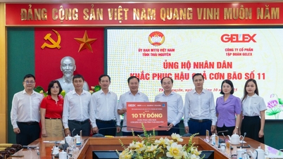 GELEX Group និងសាខារបស់ខ្លួនបរិច្ចាគ 10 ពាន់លានដុងដើម្បីយកឈ្នះព្យុះលេខ 11 នៅ Thai Nguyen