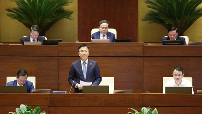 Le vice-Premier ministre Le Thanh Long clarifie un certain nombre de questions socio-économiques devant l'Assemblée nationale.
