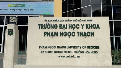 Universitas Kedokteran Pham Ngoc Thach membentuk kelompok kerja integritas ilmiah.