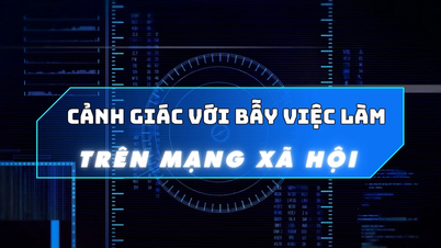 [Video] Vorsicht vor Jobfallen in sozialen Netzwerken