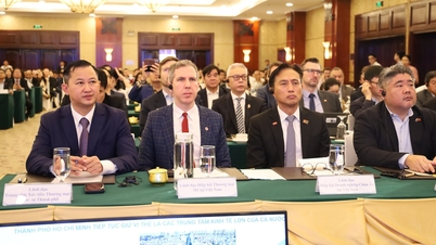 'Kejayaan perusahaan FDI adalah ukuran kapasiti pengurusan Ho Chi Minh City'