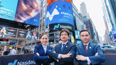Kumpulan Meey mahu IPO, senaraikan di bursa saham AS: Harga saham hanya 200 VND, juruaudit memberi pendapat
