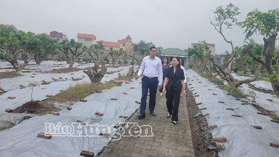 প্রাদেশিক ভিয়েতনাম ফাদারল্যান্ড ফ্রন্ট কমিটির স্থায়ী ভাইস চেয়ারম্যান সন নাম ওয়ার্ডে উৎপাদন মডেল পরিদর্শন করেছেন।