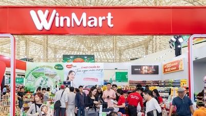 Vietnamese enterprises lead the retail modernization process