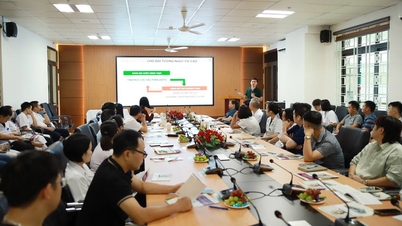 טיפול נוסף לחולים עם אי ספיקת כליות בשלב סופי