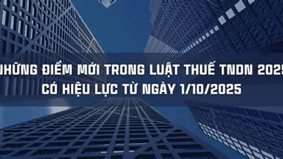 A 2025. évi társasági adótörvény új pontjai