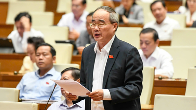 „Prin creșterea vârstei de pensionare la 65 de ani, Vietnamul va avea cu peste 5 milioane de lucrători în plus pe an”