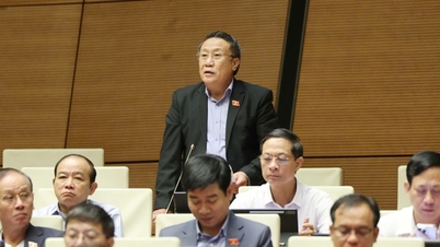 ប្រតិភូរដ្ឋសភាបានស្នើដំណោះស្រាយជាច្រើន ដើម្បីពង្រឹងប្រព័ន្ធហិរញ្ញវត្ថុជាតិ និងបង្កើនប្រសិទ្ធភាពនៃការវិនិយោគសាធារណៈ។