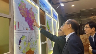 Ho Chi Minh: Sukces przedsiębiorstw z bezpośrednimi inwestycjami zagranicznymi jest miarą potencjału miasta