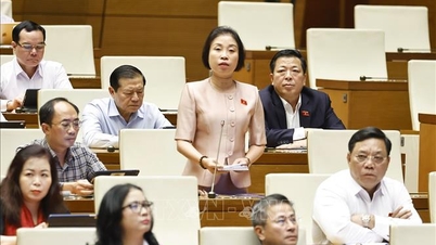 건강한 전자상거래 사업 환경 조성