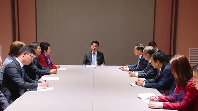 Prezydent Luong Cuong przyjmuje liderów korporacji w Korei