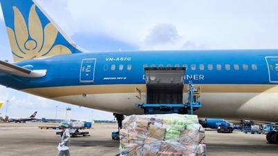 Letecká doprava zdarma přepravuje zboží na podporu oblastí postižených záplavami ve středním Vietnamu