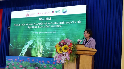 Giải bài toán bảo hiểm thiệt hại cây lúa tại đồng bằng sông Cửu Long