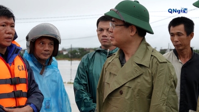 Předseda provinčního lidového výboru Nguyen Hoang Giang provedl inspekci zásahů v oblasti povodní v obci Binh Minh.