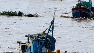 Sóng lớn đánh chìm 4 tàu cá ven biển Phan Rí Cửa