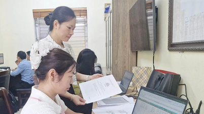 Фук Йен ускоряет «90-дневную кампанию по очистке земельной базы данных»