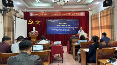 Konference o realizaci projektu „Budování organizačního modelu pro řízení aktivit duševního vlastnictví a správu duševního vlastnictví v podnicích v provincii Cao Bang“