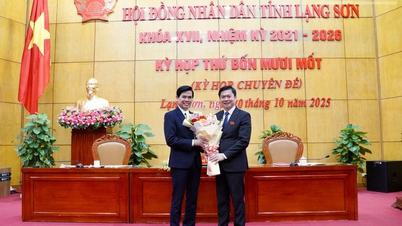 អនុម័ត​លទ្ធផល​បោះឆ្នោត និង​ទម្លាក់​តំណែង​អនុប្រធាន​គណៈកម្មាធិការ​ប្រជាជន​ខេត្ត Lang Son