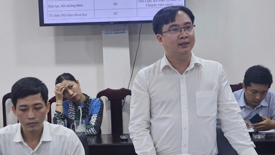 Can Tho: Some officials have degrees but their capacity does not meet the requirements of international work.