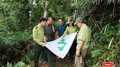 อนุรักษ์สีเขียวอันล้ำค่าของผืนป่า