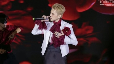 شهر هوشی مین مصمم به برخورد با هنرمندانی با «انحرافات فرهنگی» است