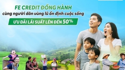 أطلقت شركة FE CREDIT حزمة ائتمان تفضيلية لدعم الأشخاص في المناطق المتضررة من الفيضانات لتحقيق الاستقرار في حياتهم