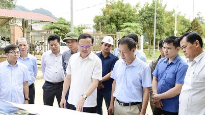 Stálý místopředseda Provinčního lidového výboru Nguyen Manh Tuan prohlédl postup projektu silnice v Ho Či Minově městě, úseku křižovatky Cho Chu - Trung Son.
