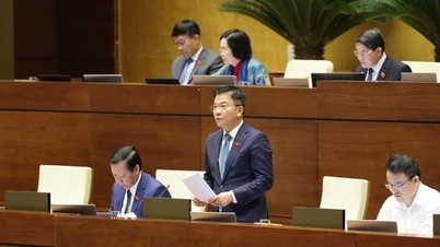 ລາຍຮັບຈາກອີຄອມເມີຊໃນປີ 2025 ຈະບັນລຸປະມານ 172 ພັນຕື້ດົ່ງ