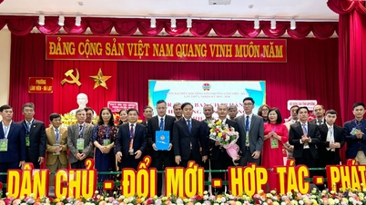 लाम विएन - दा लाट के किसान कृषि पर्यटन से जुड़ी उच्च तकनीक वाली कृषि विकसित कर रहे हैं