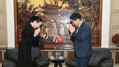 Prezydent FAT przeprasza naród wietnamski podczas spotkania z ambasadorem Wietnamu w Tajlandii