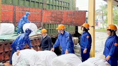 Предоставил более 700 тонн риса провинции Туенкуанг и спасательное оборудование провинции Куангнгай.