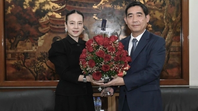 Madam Pang đến Đại sứ quán Việt Nam để xin lỗi vụ dùng sai Quốc kỳ