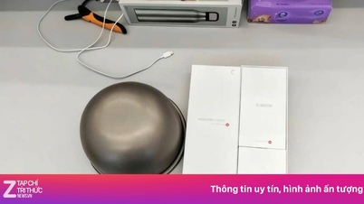 Apple brání uživatelům v přenášení iPhonů s rýžovarmi