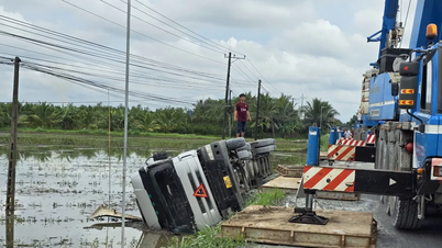 Vinh Long: Kamion se převrátil na poli, provoz na státní dálnici 54 byl přerušen