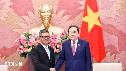 Předseda Národního shromáždění přijal na rozloučenou velvyslance Indonésie a Singapuru