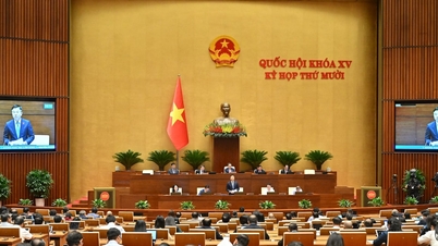 প্রেস বিজ্ঞপ্তি নং ১০, ১০ম অধিবেশন, ১৫তম জাতীয় পরিষদ