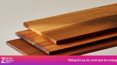 Jedná se o druh dřeva, který je neprůstřelný.