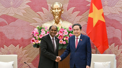 رئیس مجلس ملی، تران تان من، سفرای سنگاپور و اندونزی در ویتنام را به حضور پذیرفت.