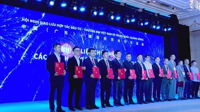 تعزيز التعاون الاستثماري بين فيتنام والصين (قوانغدونغ): توقيع 7 مشاريع بقيمة 470 مليون دولار أمريكي