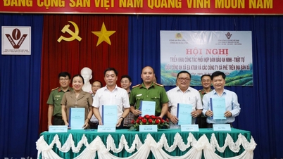 ईए कूर्ट कम्यून पुलिस ने 4 कॉफी कंपनियों के साथ सुरक्षा और व्यवस्था सुनिश्चित करने के लिए एक समन्वय विनियमन पर हस्ताक्षर किए।