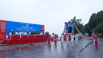 اولین کنگره ورزشی تای هو وارد در سال 2025