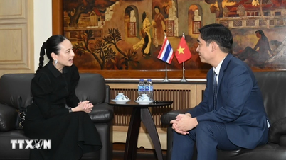 President of the Football Association of Thailand apologizes for the incident of displaying the wrong Vietnamese flag.