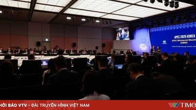 APEC 2025 Summit Week: Vietnam proposes some orientations to promote innovation and shared prosperity