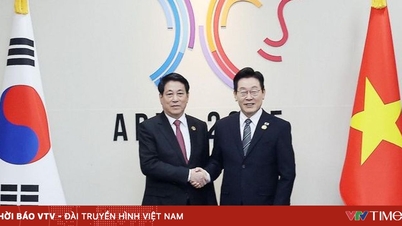 President Luong Cuong holds talks with South Korean President