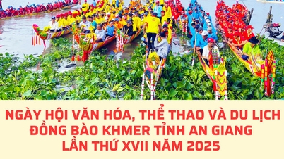 [Infographic] - Activiteiten van het 17e Khmer Cultureel, Sportief en Toerisme Festival in de provincie An Giang