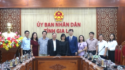 Místopředsedkyně provinčního lidového výboru Nguyen Thi Thanh Lich spolupracovala s Univerzitou sociálních a humanitních věd