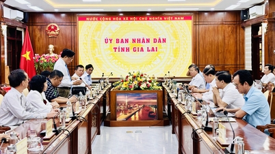 قادة لجنة الشعب الإقليمية في جيا لاي يعملون مع جمعية الكسافا الفيتنامية