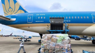 خطوط هوایی ویتنام برای حمایت از مناطق سیلزده در مرکز ویتنام، کالاهای رایگان حمل میکند.
